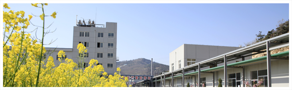 新元氟硅涂料
